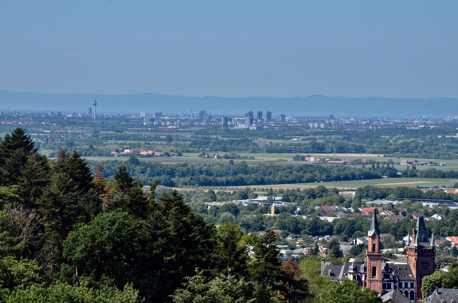 Blick in die Rheinebene